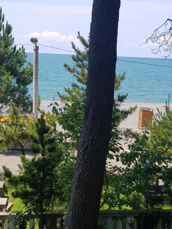 Midia Guest House Kobuleti Esterno foto