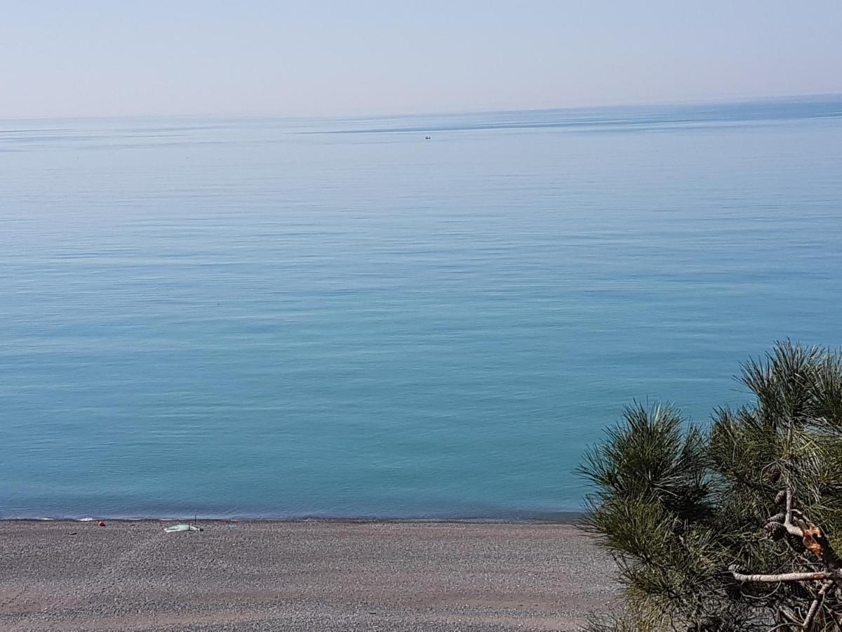 Midia Guest House Kobuleti Esterno foto