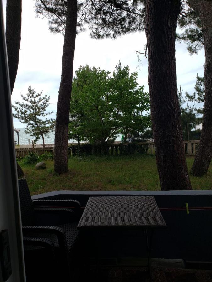 Midia Guest House Kobuleti Esterno foto